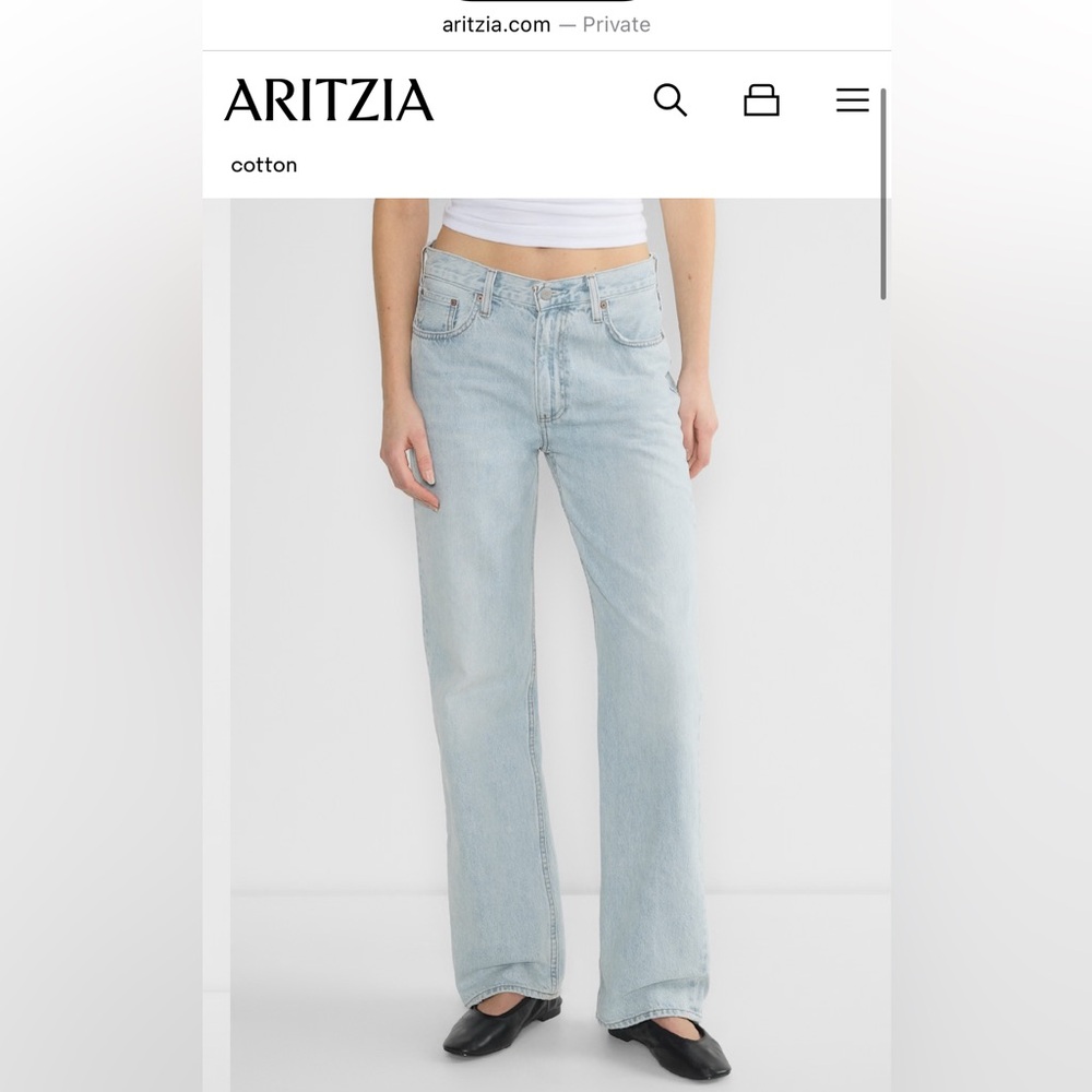 Aritzia Denim Forum Light Blue Low Rise Loose Jeans